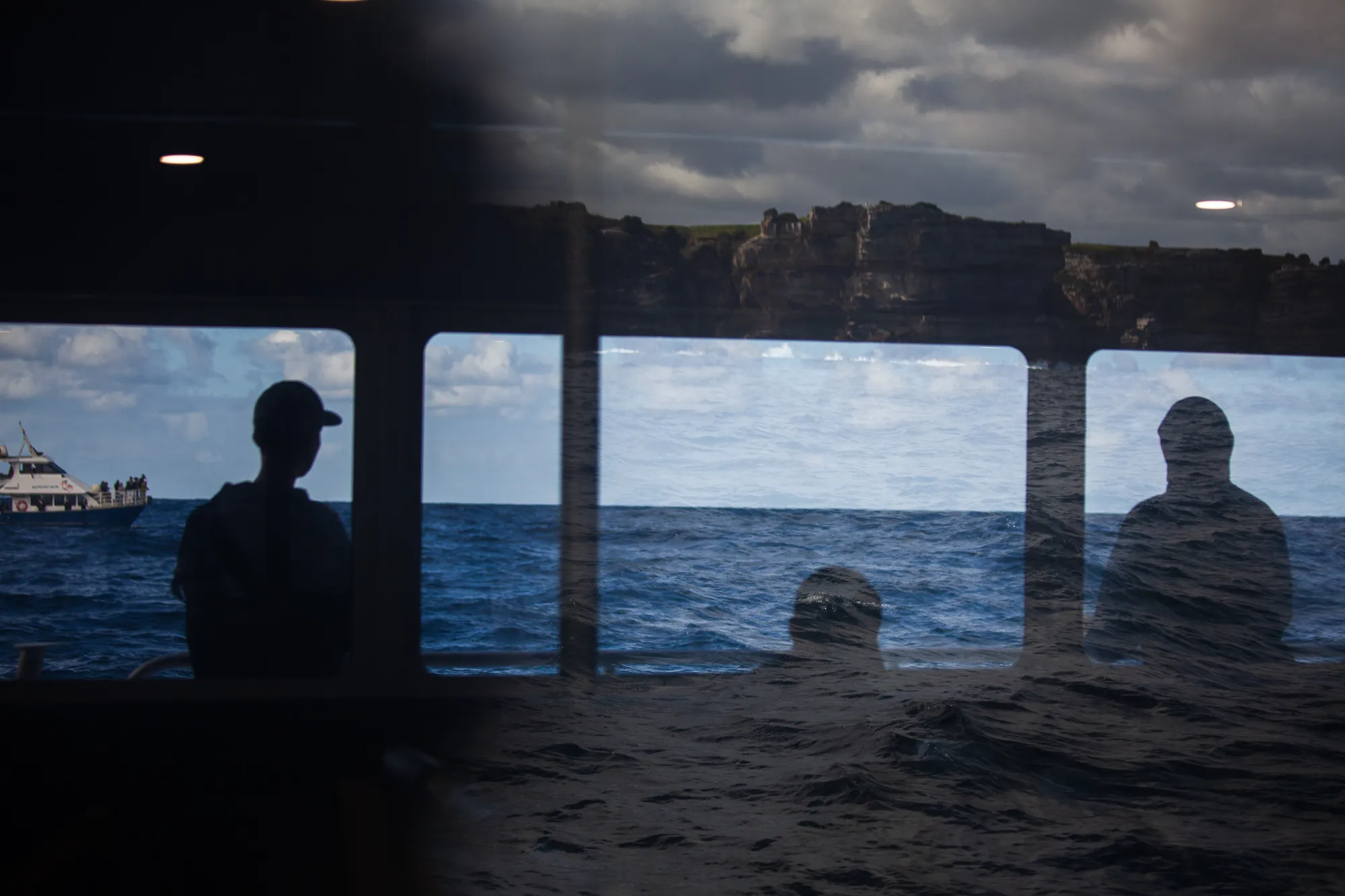 Reflection in a whale-watching boat window showing a passenger, another boat, and the Sydney coastline, with a whale surfacing in the water below.

